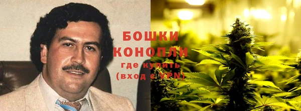 ГАЛЛЮЦИНОГЕННЫЕ ГРИБЫ Елизово