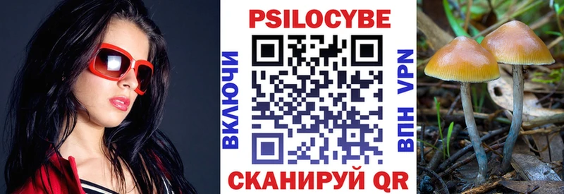 ОМГ ОМГ онион  Нефтекамск  Псилоцибиновые грибы GOLDEN TEACHER 